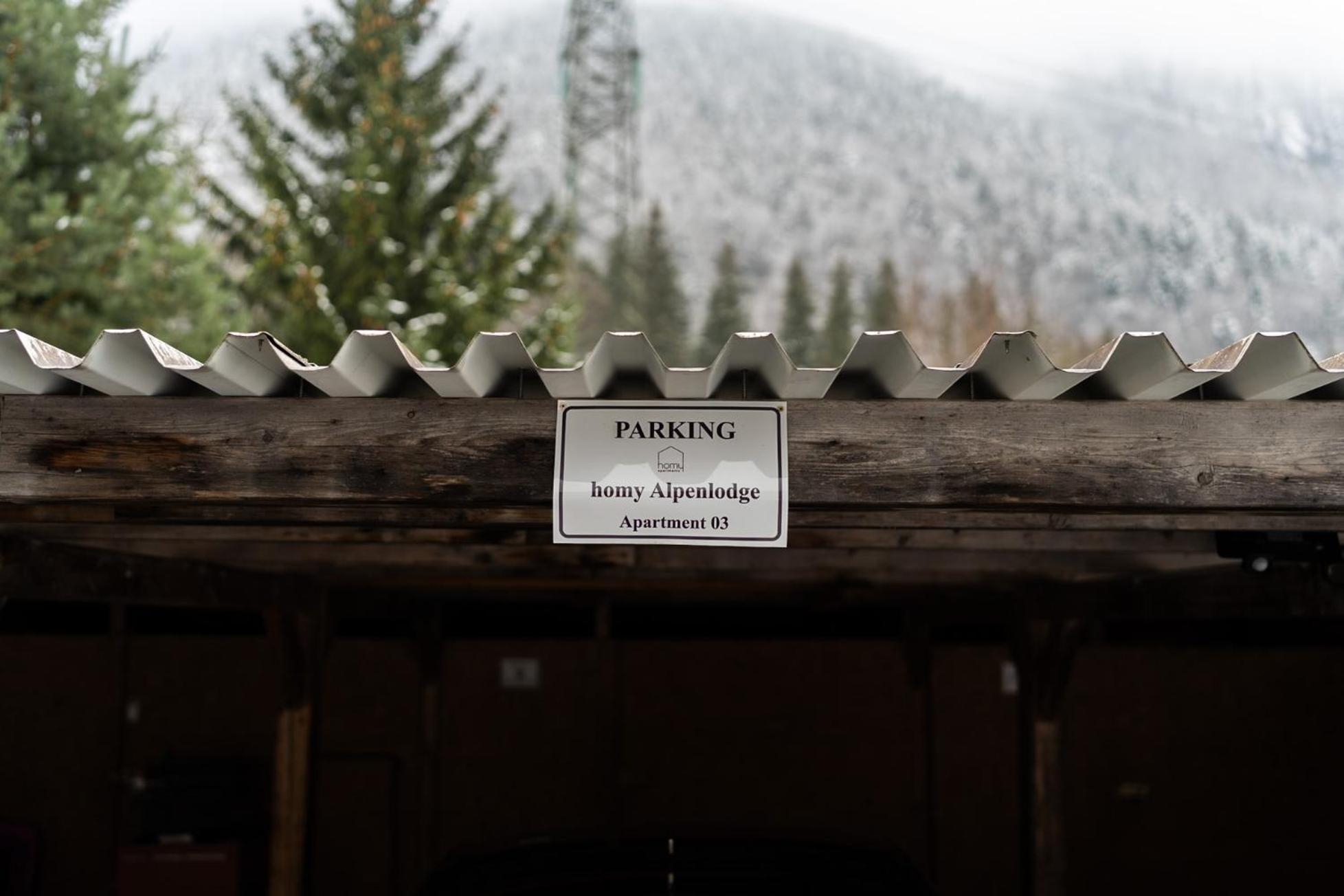Homy Alpenlodge Innerbraz Exteriör bild